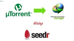 Seedr.cc P2P file sharing software